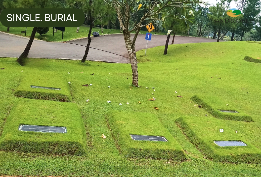 Single Burial Muslim San Diego Hills